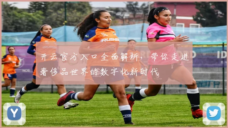 开云官方入口全面解析，带你走进奢侈品世界的数字化新时代